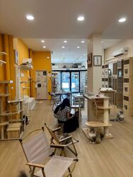 Geylang Road (D14), Shop House #544868611